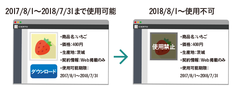 素材/情報の一元集約により”CIERTOを見れば必要な情報がある”という状態を確立
