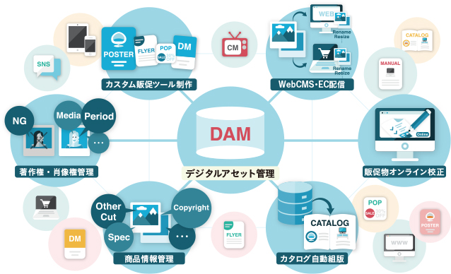 デジタル資産管理(DAM)