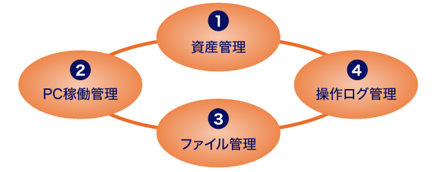 5大特徴