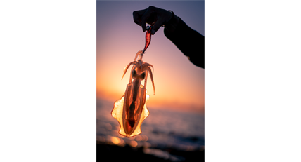 株式会社ヤマリア サービス画像1