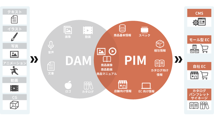 図版