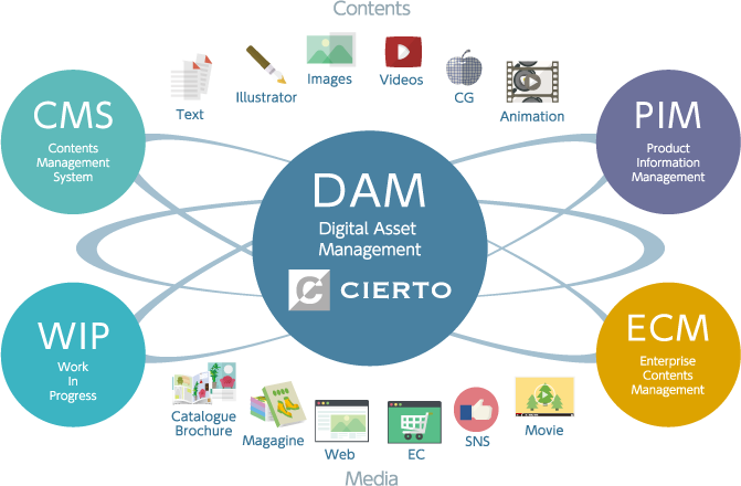 デジタルアセットマネジメント(DAM)