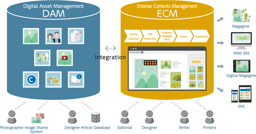 デジタルアセットマネジメント（DAM）