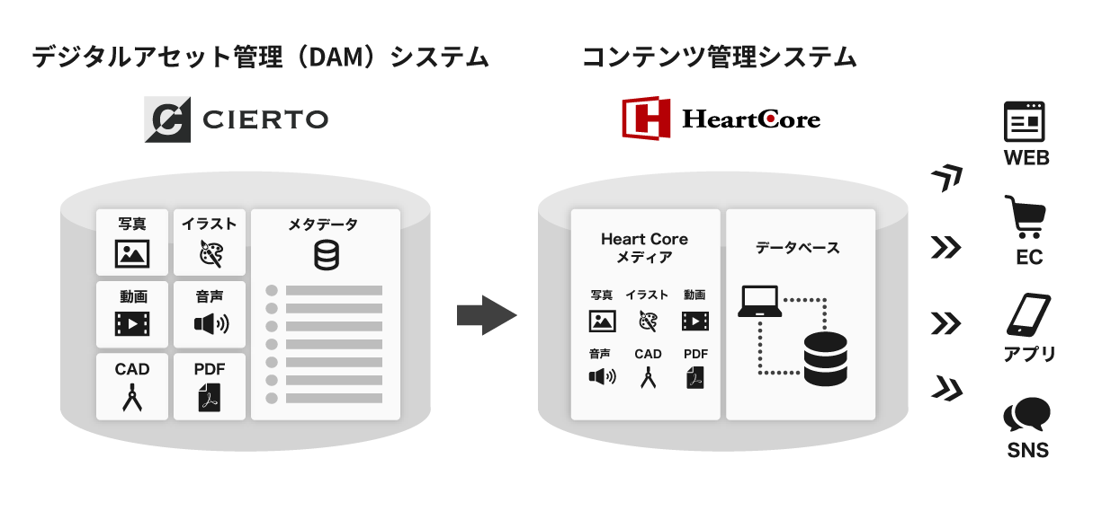 デジタルアセット管理(DAM)システム「CIERTO」とコンテンツ管理システム「HeartCore CMS」の連携イメージ